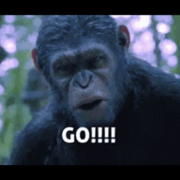 Meet your Posher, Lorenzo - Picture 1 of 1